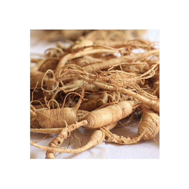 Ginseng