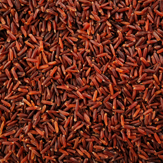 Levure de riz rouge