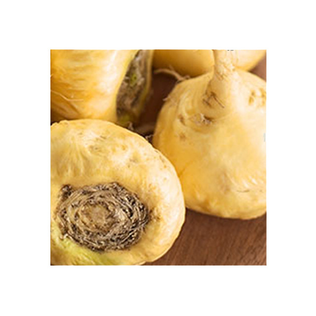 Maca