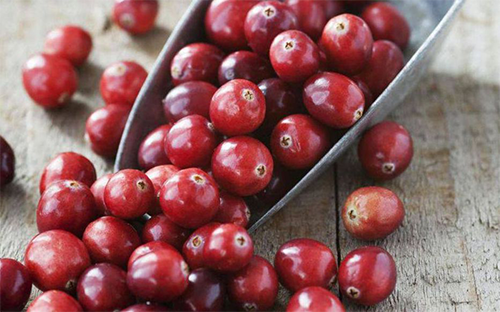 cranberry