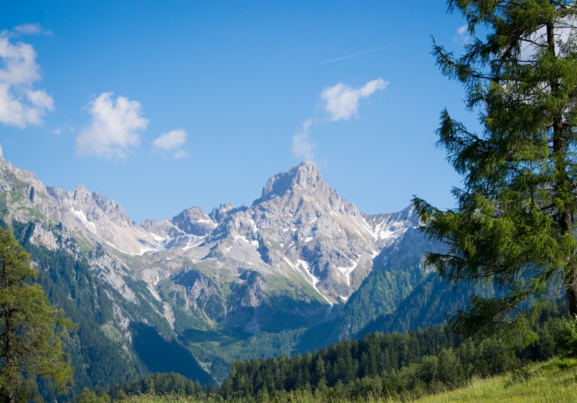 Le miel de montagne, parfait pour l’hiver