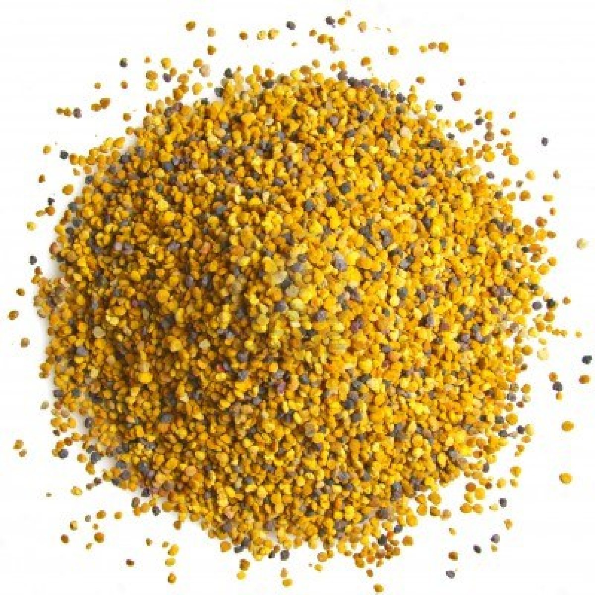 Le pollen, de l'énergie pour la rentrée