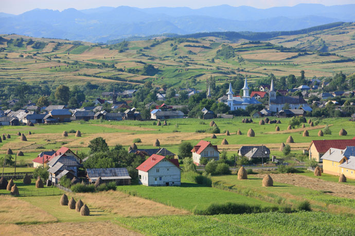 La Roumanie, pionière de l'apithérapie