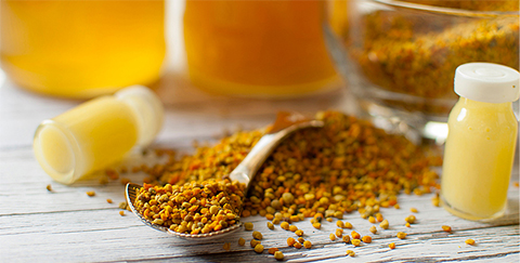 Tout savoir sur la gelée royale