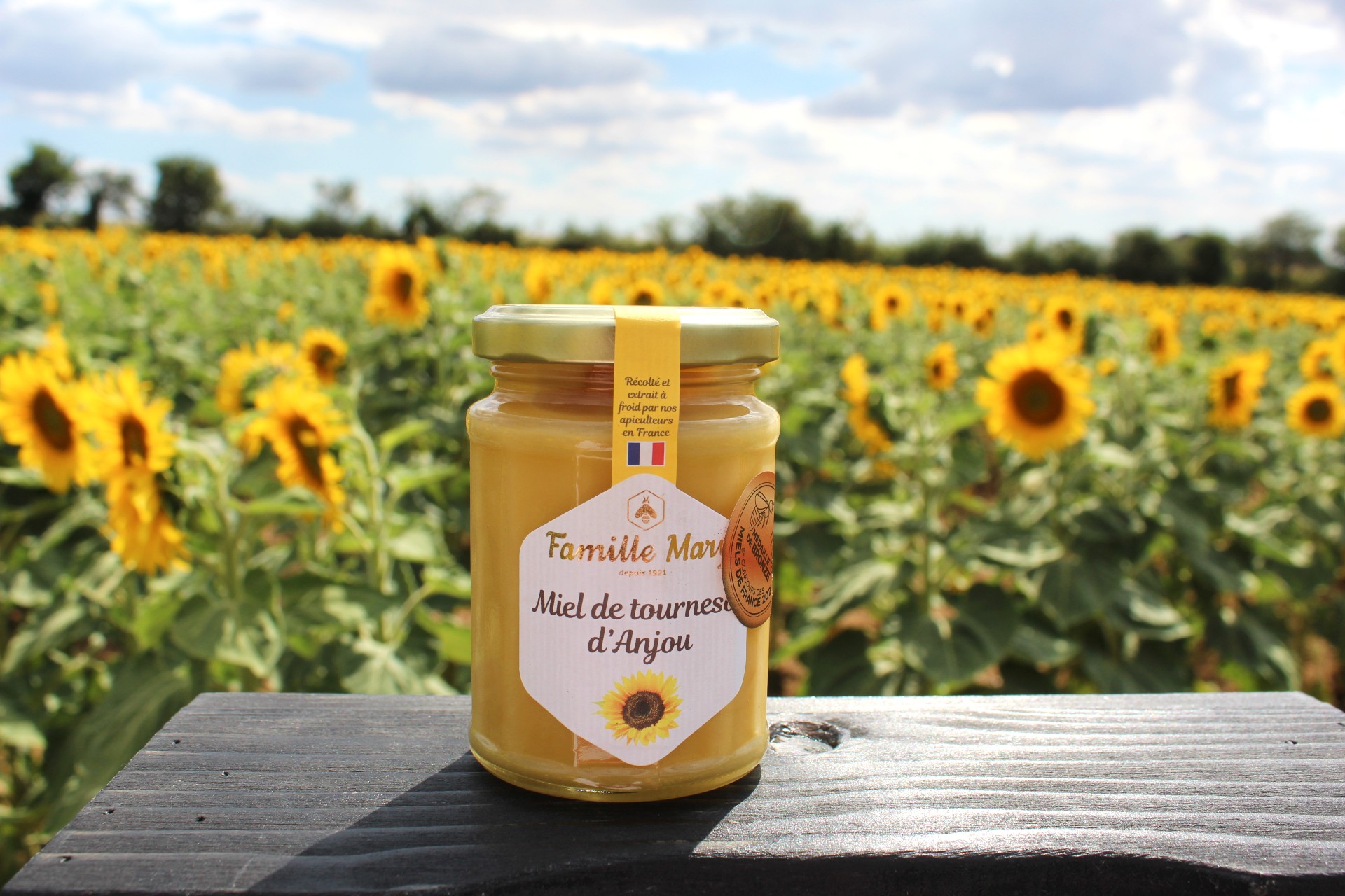 Miel de tournesol Famille Mary, récompensé au concours des miels de France !