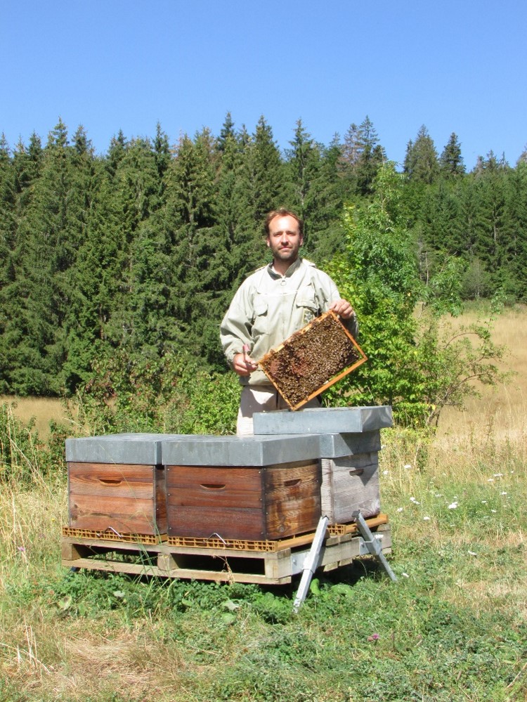 Paul, apiculteur récoltant en Haute Savoie