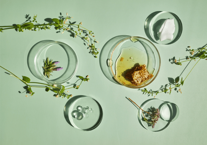 Les bienfaits du Venin d'abeille pour la peau